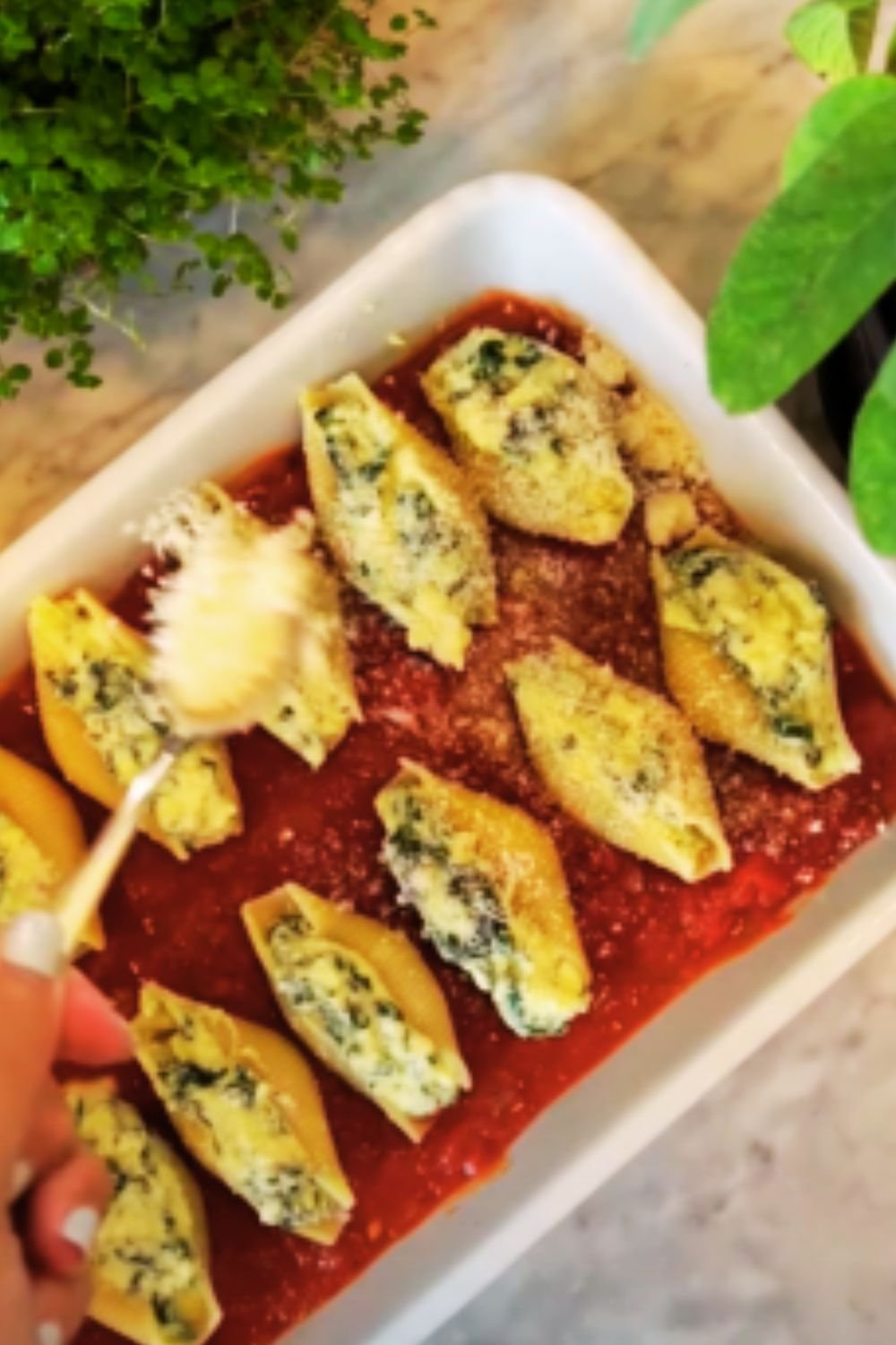 Cheesy Spinach Shells: A Comforting Pasta Dish That Everyone Will Love